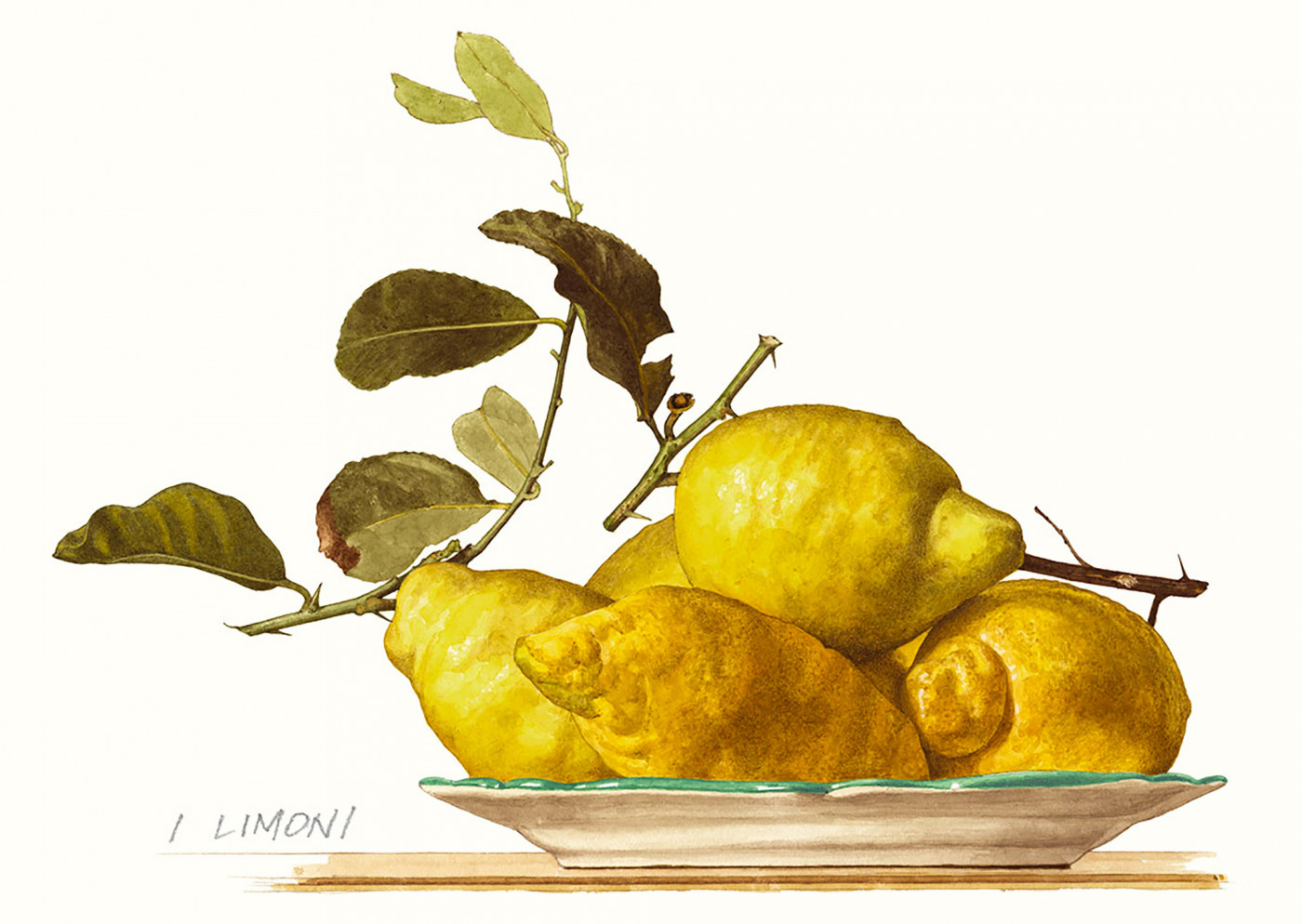 Limoni.jpg