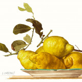 Limoni.jpg